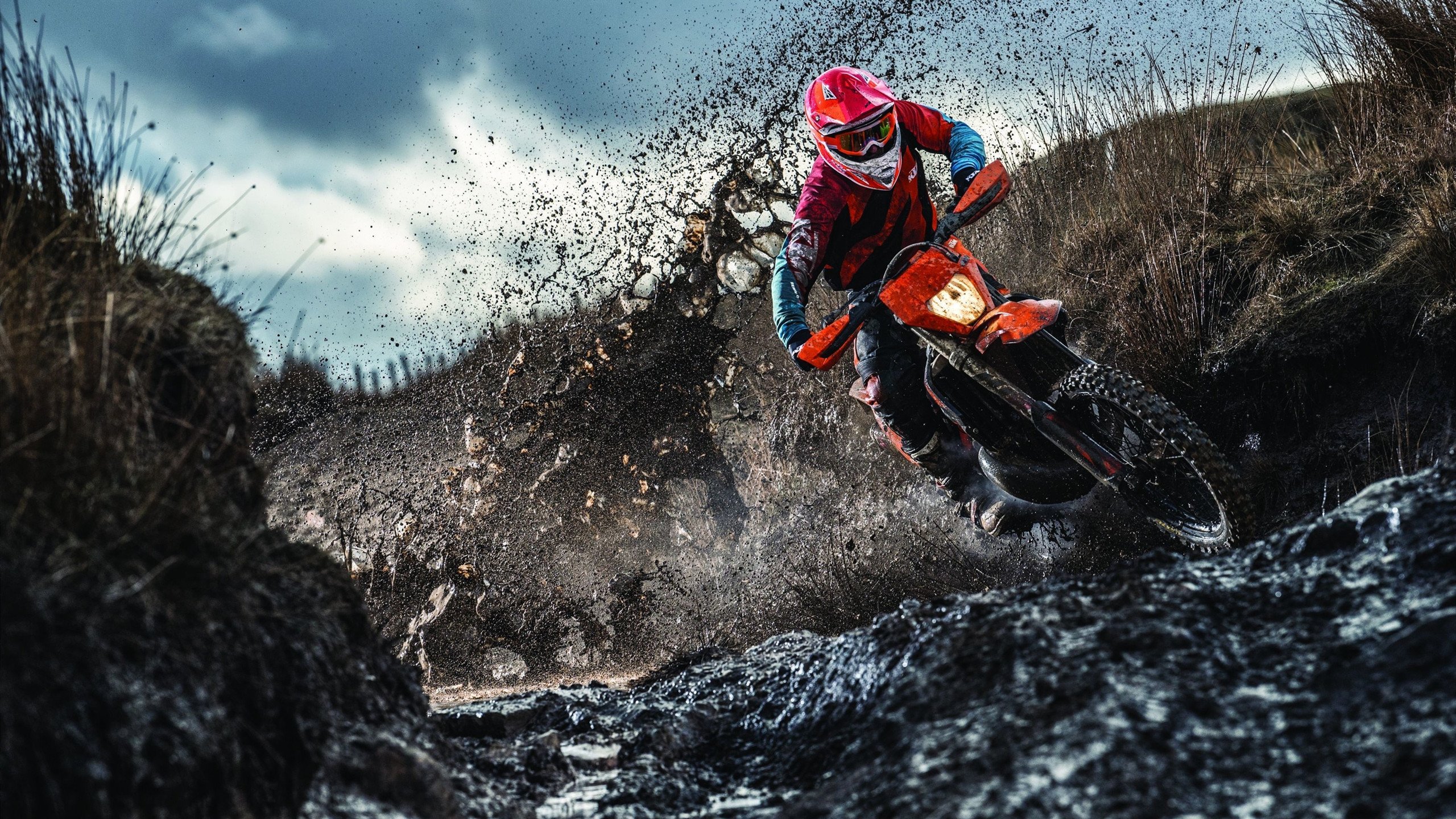 2026年世界攀岩速度赛场地标准统一 中国训练馆率先通过认证