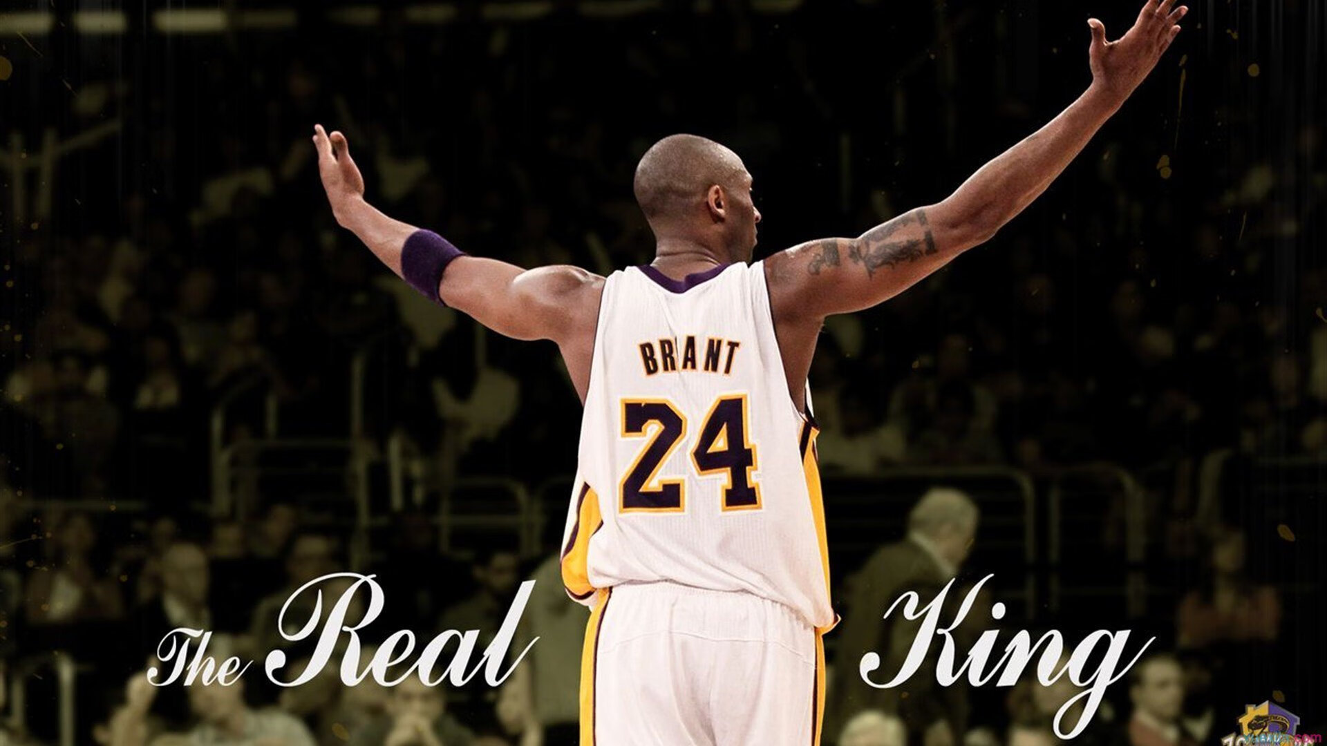 体育梦想照亮未来